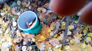 went for mushrooms and wetted the leaves
