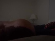 When wifey is delayed her Persian Bull comes out to play 12/16