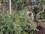 I am doing autumn things in the garden 2/16