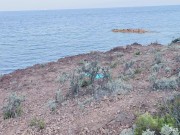 Public dick flash on the beach. She was shocked at first but then decided to suck me dry 4/16