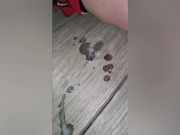 First Multi Nut Video Complication  - Screenshot 13 of 16 - HD