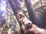 Suck and Fuck in the woods Maze Fields bends over Cum on ass slow mo 9/16