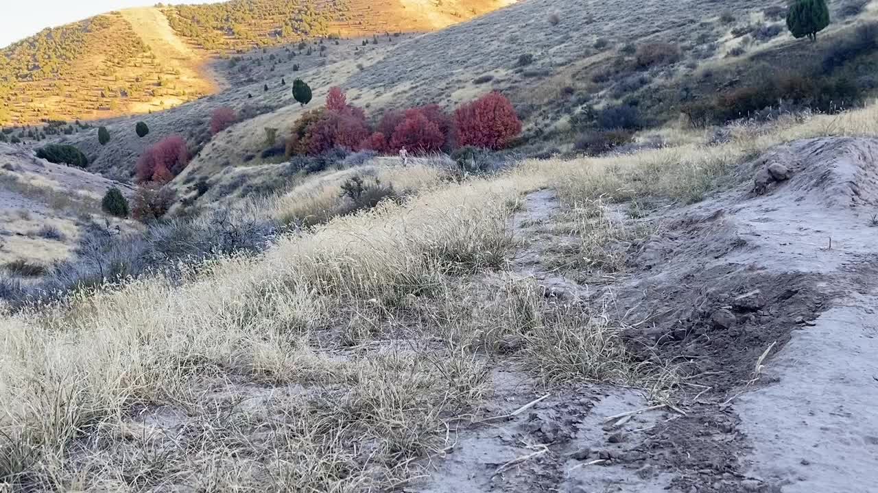 nudist guy walks into the woods naked and masturbates - RedTube