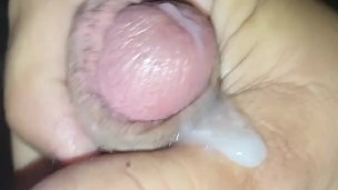 Morning wood
