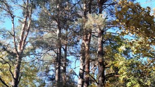 Sex after party - Lesbian_illusion