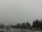 Nerd Brunette Dildo Solo 7/16