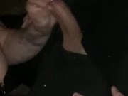 Slutty wife sucking strangers cock in the woods  9/16