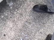 Cumming on an train station  16/16