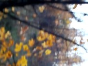 risky nudist shows big dick in nature