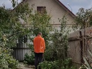 Ordinary affairs. Day in the garden 12/16