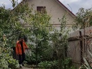 Ordinary affairs. Day in the garden 14/16