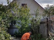 Ordinary affairs. Day in the garden 2/16