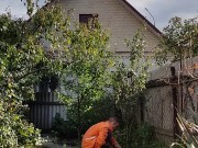 Ordinary affairs. Day in the garden 3/16