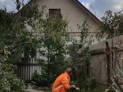 Ordinary affairs. Day in the garden 5/16