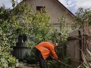 Ordinary affairs. Day in the garden 6/16