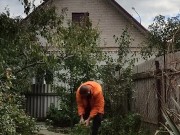 Ordinary affairs. Day in the garden 7/16