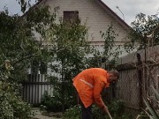 Ordinary affairs. Day in the garden 8/16