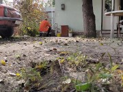 Autumn in the yard 10/16