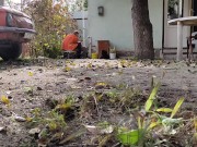 Autumn in the yard 12/16