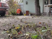 Autumn in the yard 15/16