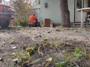 Autumn in the yard 2/16