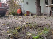 Autumn in the yard 3/16