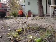 Autumn in the yard 4/16