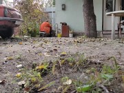 Autumn in the yard 5/16