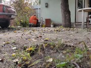 Autumn in the yard 6/16