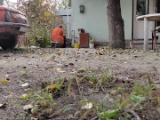 Autumn in the yard 7/16