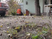 Autumn in the yard 8/16