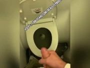 Wanking plane toilet 8/16