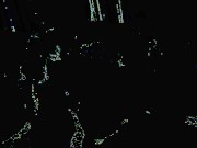 Horny Brunette Jynx Maze Is Drenched In Cum After Sucking And Fucking Father And Son Duo 16/16