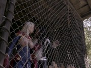 Kenzie Taylor Eats Out Ana Foxxx 9/16