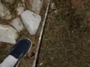 Back Yard Night Pissing 14/16