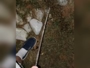 Pee Compilation 8 Videos 3/16