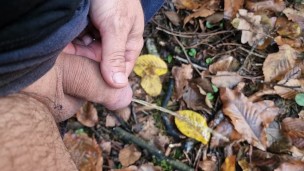 PISSING and then JERKING OFF in the forest
