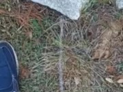 Backyard pissing full video 13/16