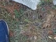 Backyard pissing full video 14/16