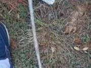 Backyard pissing full video 4/16