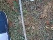 Backyard pissing full video 7/16