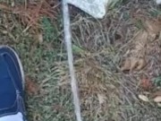 Backyard pissing full video 8/16