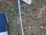 Risky Backyard Pissing 11/16