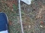 Risky Backyard Pissing 13/16