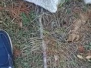 Risky Backyard Pissing 16/16