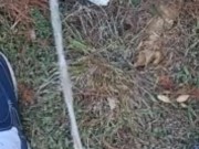 Risky Backyard Pissing 3/16