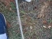 Risky Backyard Pissing 4/16