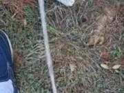 Risky Backyard Pissing 5/16