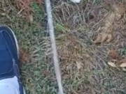 Risky Backyard Pissing 9/16