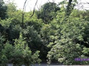 This slut was just waiting for my cock to break her ass 2/16